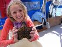 Carolyne and Chocolate Chip Sea Star