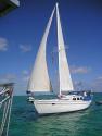 WINDFALL 35 ft Cal Cruising sloop cruiser ready!