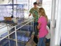 Carolyne, Martha and Vet Asst. putting kitties in duffel bag