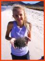 Carolyne and Sunflower Sea Star